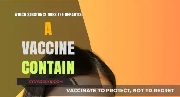 Hepatitis A Vaccine Composition: Key Substances and Their Role Explained