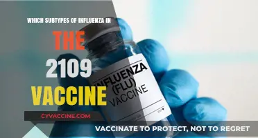 2019 Influenza Vaccine: Key Subtypes and Their Importance Explained