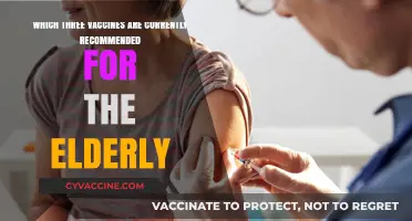 Essential Vaccines for Seniors: Protecting Elderly Health with Key Immunizations
