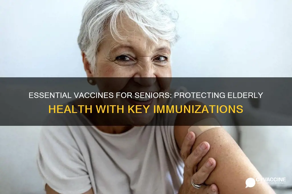 which three vaccines are currently recommended for the elderly