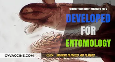 Vaccines in Entomology: Targeted Ticks and Their Developed Immunizations