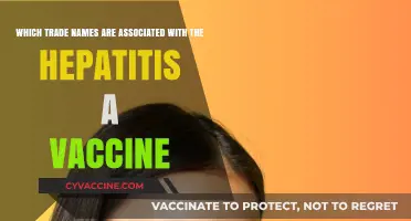 Hepatitis A Vaccine: Exploring Trade Names for Prevention and Protection