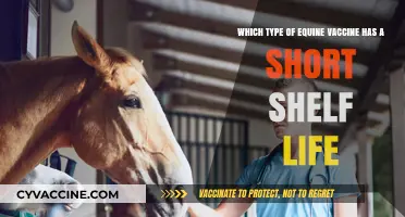 Short-Lived Equine Vaccines: Understanding Their Limited Shelf Life