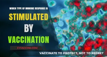 Vaccination: Unlocking the Power of Adaptive Immune Responses