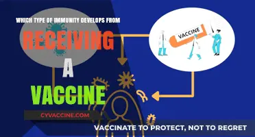 Vaccine-Induced Immunity: How Vaccines Build Long-Term Protection Against Diseases