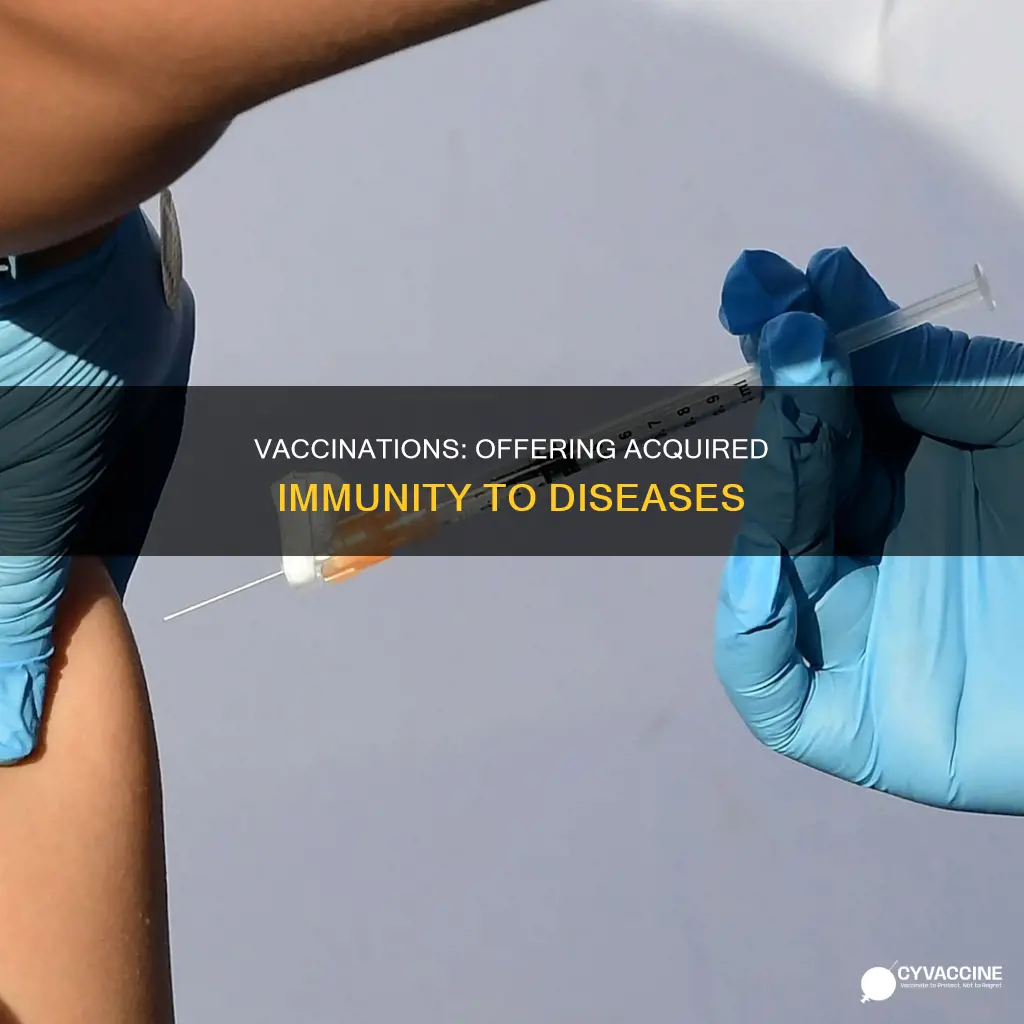 which type of immunity is provided by a vaccination