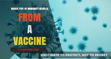 Vaccines: The Power of Active Immunity