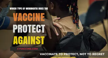 Meningitis Vaccines: Which Types of Meningitis Do They Protect Against?