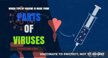 Understanding Subunit Vaccines: How Parts of Viruses Protect Against Diseases
