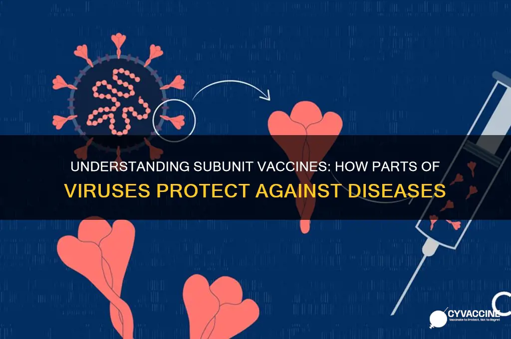 which type of vaccine is made from parts of viruses