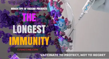 Longest-Lasting Immunity: Which Vaccine Type Offers Superior Protection?
