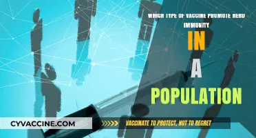 Boosting Herd Immunity: Which Vaccines Protect Entire Communities Effectively?