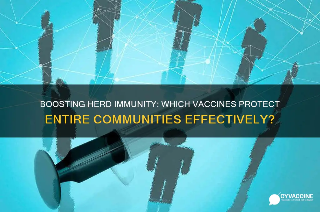 which type of vaccine promote herd immunity in a population