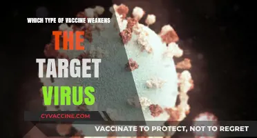 Understanding Attenuated Vaccines: How Weakened Viruses Protect Against Diseases