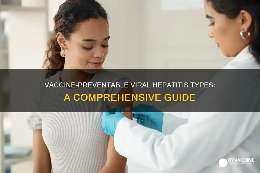 which type of viral hepatitis have vaccine available