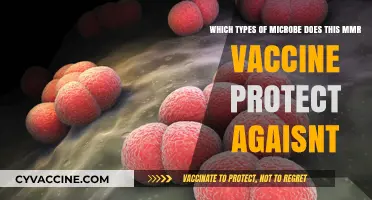 MMR Vaccine: Microbes It Protects Against and How It Works