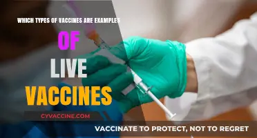 Live Vaccines Explained: Types and Examples for Better Immunity