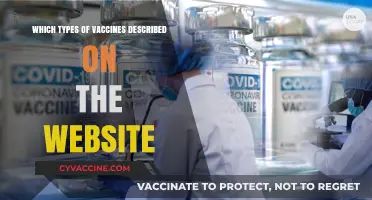 Exploring Various Vaccine Types: A Comprehensive Guide from the Website