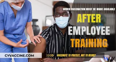 Essential Vaccinations to Provide Post-Employee Training for Workplace Safety