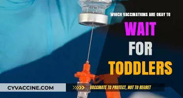 Toddler Vaccination Schedule: Which Shots Can Wait and Why