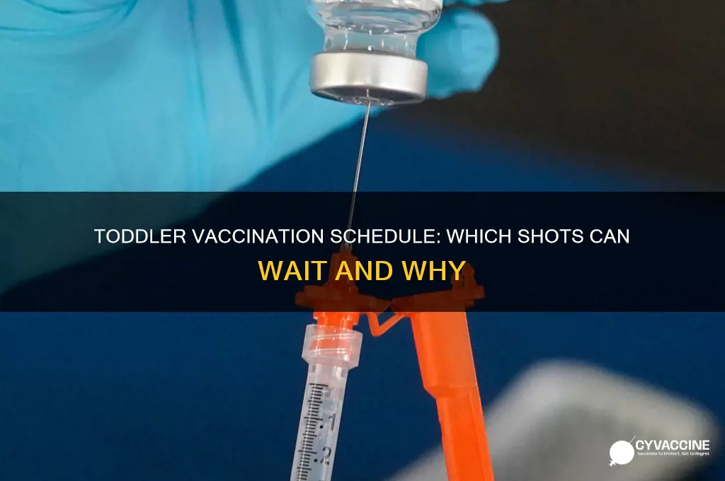 which vaccinations are okay to wait for toddlers