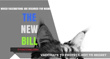 Maine's New Vaccination Bill: Required Immunizations Explained