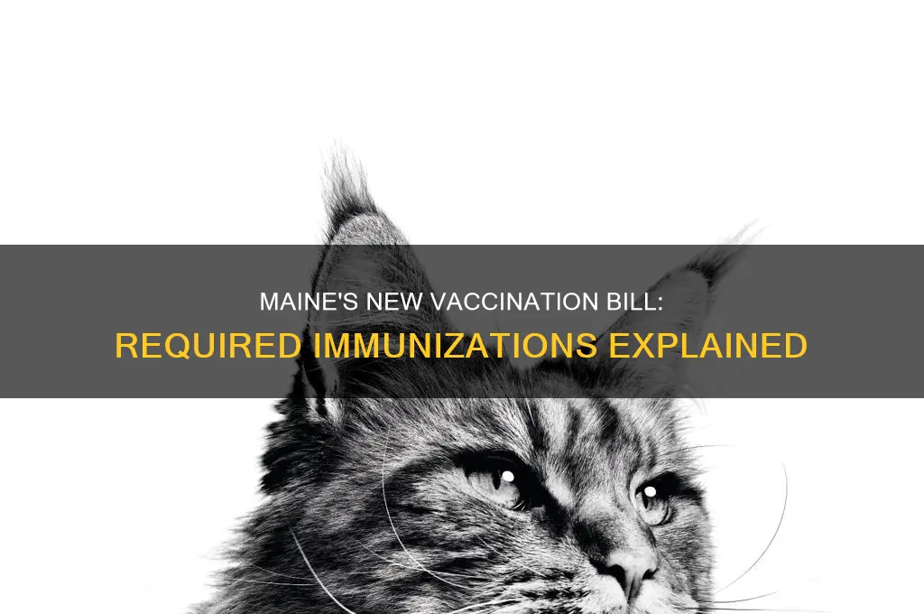 which vaccinations are requried for maine under the new bill