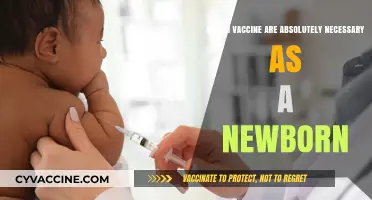 Essential Newborn Vaccines: A Guide to Critical Immunizations for Infants