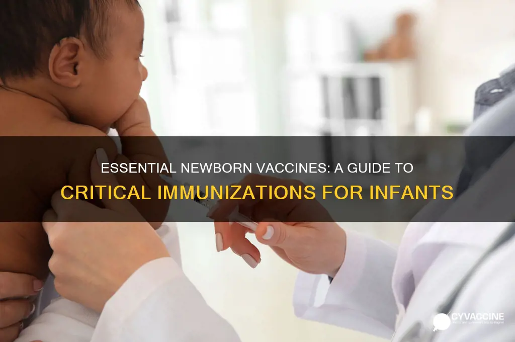 which vaccine are absolutely necessary as a newborn