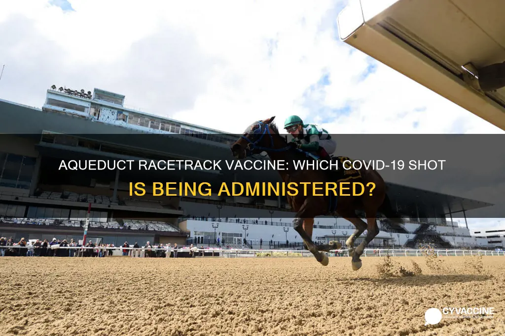 which vaccine are they giving at aqueduct racetrack