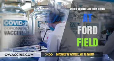 Ford Field Vaccine Clinic: Which COVID-19 Vaccine is Being Administered?