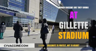 Gillette Stadium Vaccine Distribution: Which COVID-19 Shot Are They Administering?