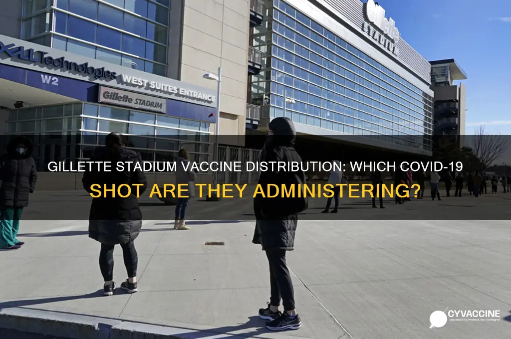 which vaccine are they giving at gillette stadium