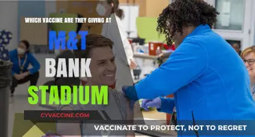M&T Bank Stadium Vaccine Clinic: Which COVID-19 Shot is Offered?