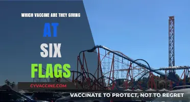 Six Flags Vaccine Offerings: What Shots Are Available at the Park?