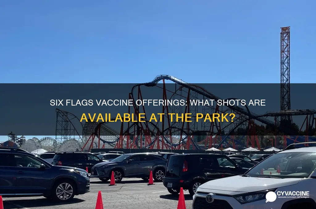 which vaccine are they giving at six flags