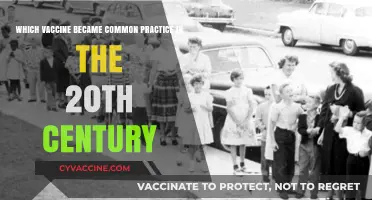 The Rise of the Polio Vaccine: 20th Century's Game-Changer