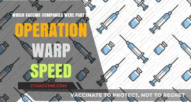 Operation Warp Speed: Key Vaccine Companies Behind the Rapid Development