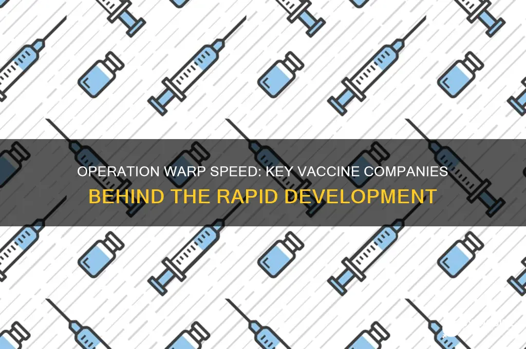 which vaccine companies were part of operation warp speed