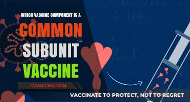 Common Subunit Vaccine Components: Understanding Their Role in Immunization