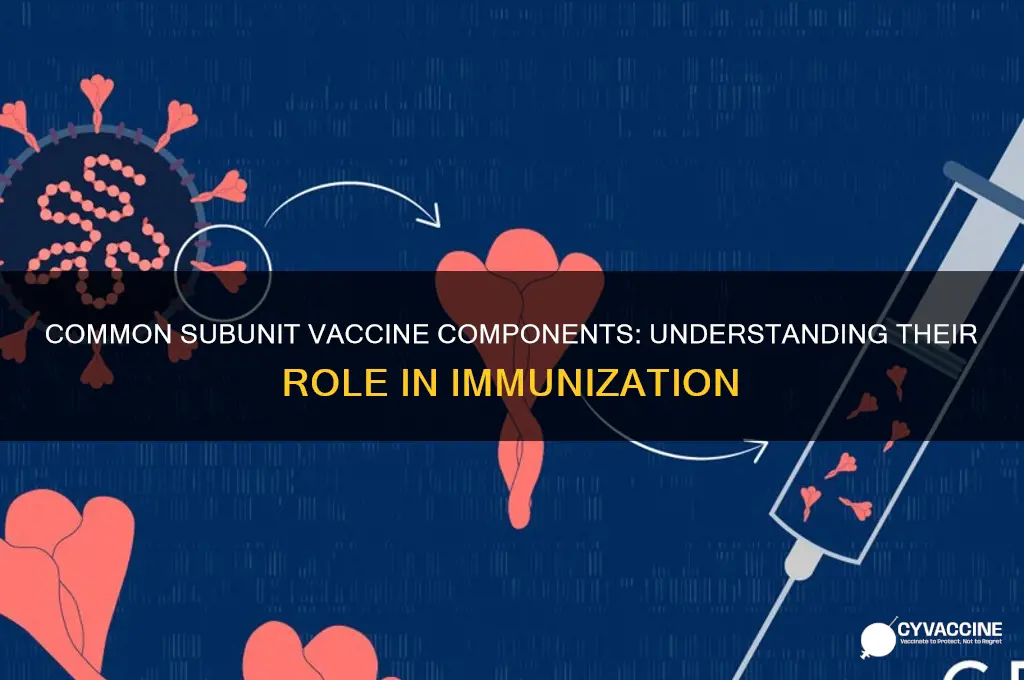 which vaccine component is a common subunit vaccine