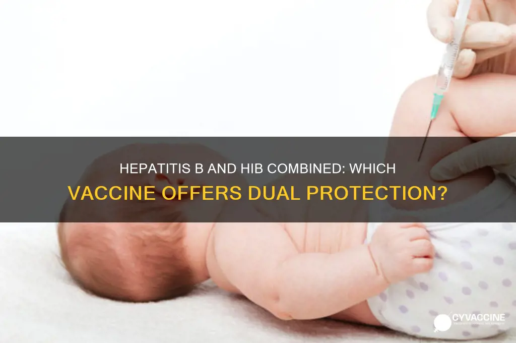 which vaccine contains both hepatitis b and hib vaccines