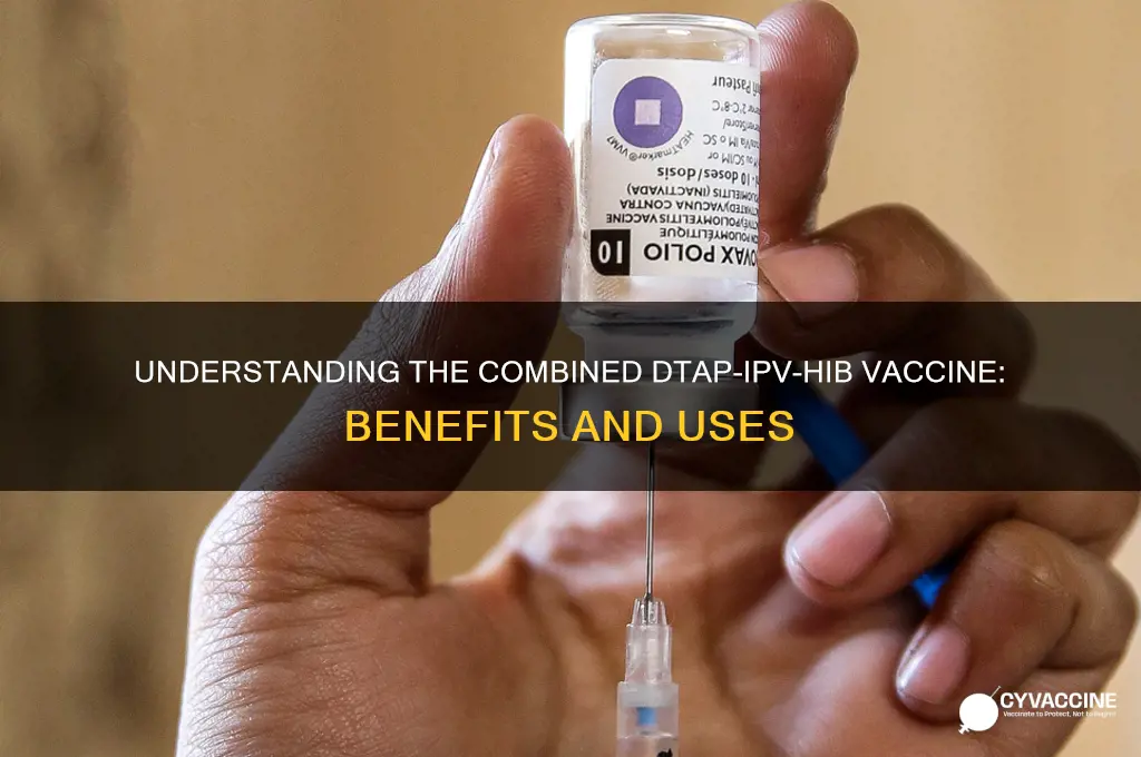 which vaccine contains dtap ipv and hib vaccines