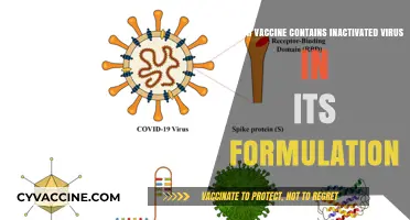 Inactivated Virus Vaccines: Understanding Their Formulation and Function