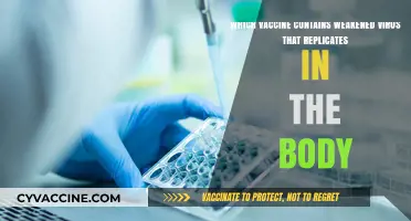 Live Attenuated Vaccines: How Weakened Viruses Protect Your Body