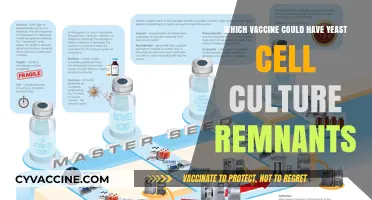 Yeast Cell Culture Remnants in Vaccines: What You Need to Know