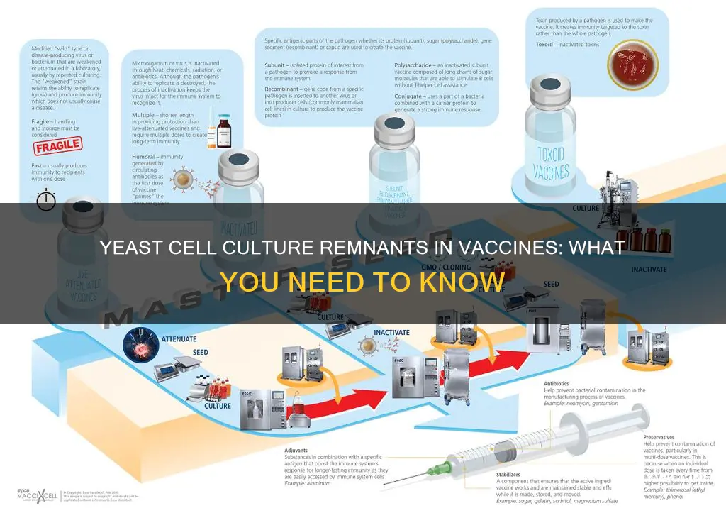 which vaccine could have yeast cell culture remnants