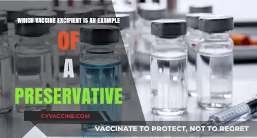 Preservatives in Vaccines: Which Excipient Keeps Them Safe?