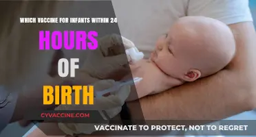 Essential Newborn Vaccines: Protecting Infants Within 24 Hours of Birth