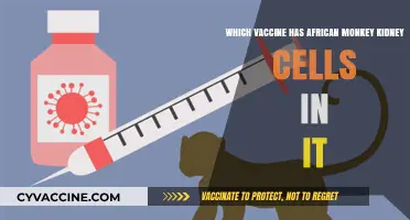 African Monkey Kidney Cells in Vaccines: Which One Contains Them?